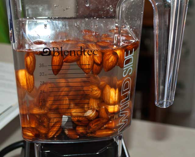 Almonds in the blender