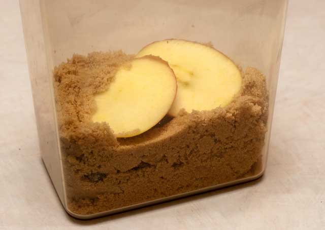 Apple slices with brown sugar