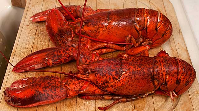 lobster arrabiata recipe